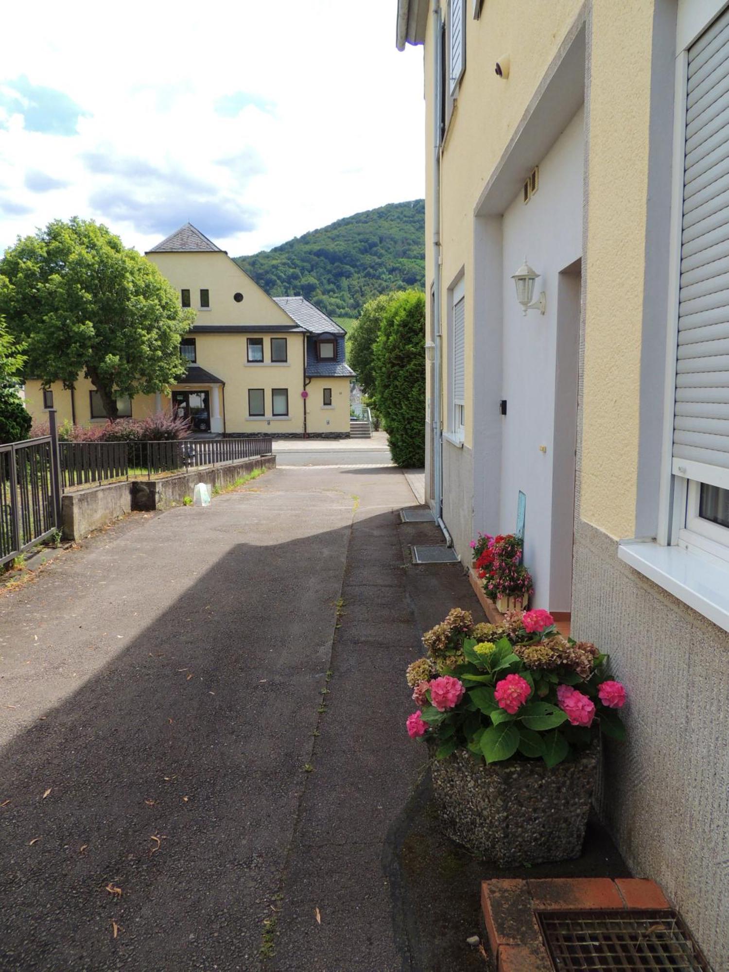 Ferienwohnung Afrika Bernkastel-Kues Εξωτερικό φωτογραφία